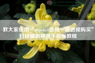 教大家使用“wepoker透视一键透视购买	”科技辅助神器手机版教程