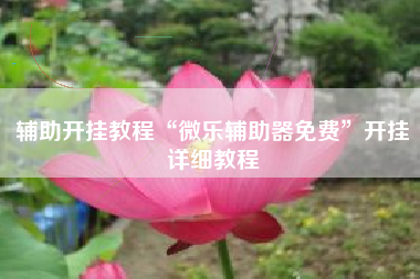 辅助开挂教程“微乐辅助器免费”开挂详细教程