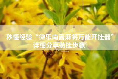 秒懂经验“微乐南昌麻将万能开挂器”详细分享装挂步骤!