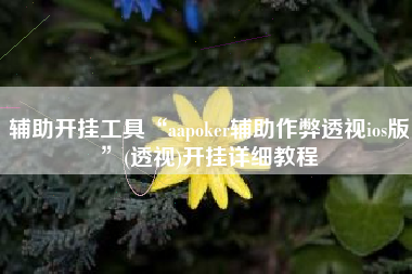 辅助开挂工具“aapoker辅助作弊透视ios版	”(透视)开挂详细教程