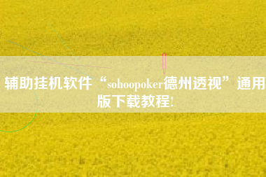 辅助挂机软件“sohoopoker德州透视”通用版下载教程!