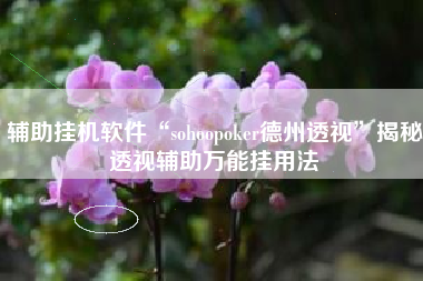 辅助挂机软件“sohoopoker德州透视	”揭秘透视辅助万能挂用法