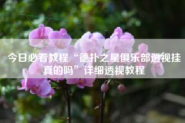 今日必看教程“德扑之星俱乐部透视挂真的吗	”详细透视教程