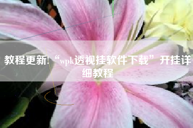 教程更新!“wpk透视挂软件下载”开挂详细教程