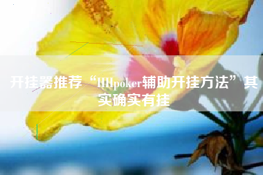 开挂器推荐“HHpoker辅助开挂方法	”其实确实有挂