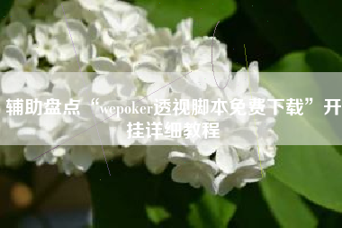 辅助盘点“wepoker透视脚本免费下载”开挂详细教程