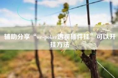 辅助分享“we-poker透视插件挂	”可以开挂方法