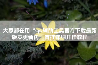 大家都在用“wpk辅助工具官方下载最新版本更新内”有挂详细开挂教程