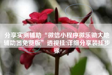 分享实测辅助“微信小程序微乐锄大地辅助器免费版	”透视挂!详细分享装挂步骤