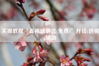 实操教程“雀神辅助器(免费)”开挂(透视)辅助