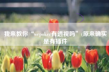 我来教你“wepoker有透视吗	”(原来确实是有插件