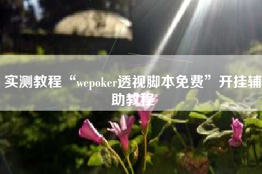 实测教程“wepoker透视脚本免费”开挂辅助教程