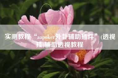 实测教程“aapoker外卦辅助插件”(透视挂)辅助透视教程