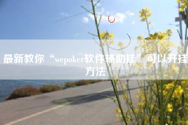 最新教你“wepoker软件辅助挂”可以开挂方法