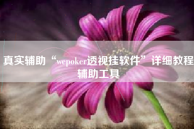 真实辅助“wepoker透视挂软件	”详细教程辅助工具