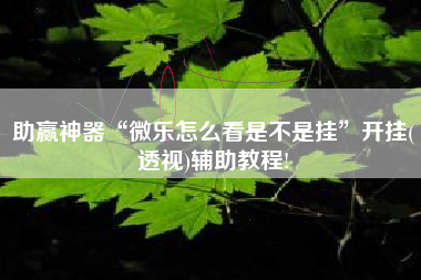 助赢神器“微乐怎么看是不是挂”开挂(透视)辅助教程!