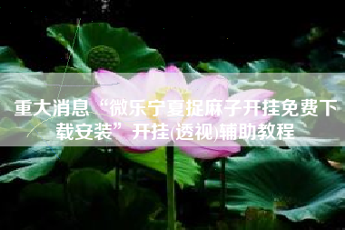 重大消息“微乐宁夏捉麻子开挂免费下载安装”开挂(透视)辅助教程