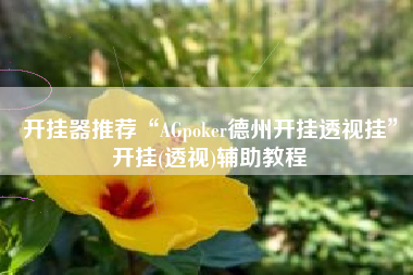 开挂器推荐“AGpoker德州开挂透视挂	”开挂(透视)辅助教程