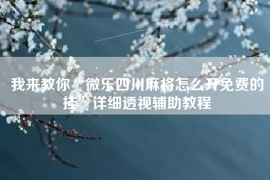 我来教你“微乐四川麻将怎么开免费的挂”详细透视辅助教程