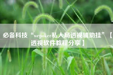 必备科技“wepoker私人局透视辅助挂”【透视软件教程分享】