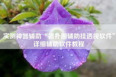 实测神器辅助“德扑圈辅助挂透视软件	”详细辅助软件教程