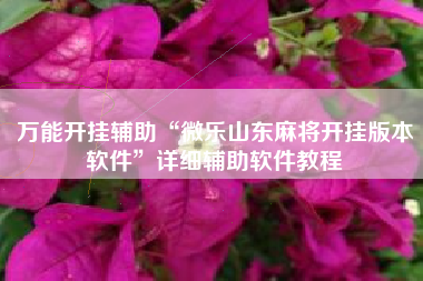 万能开挂辅助“微乐山东麻将开挂版本软件”详细辅助软件教程