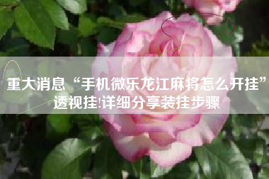 重大消息“手机微乐龙江麻将怎么开挂”透视挂!详细分享装挂步骤