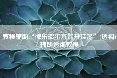 教程辅助“微乐掼蛋万能开挂器”(透视)辅助透视教程