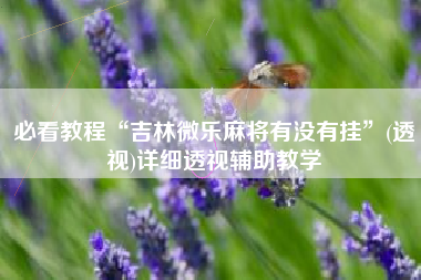 必看教程“吉林微乐麻将有没有挂”(透视)详细透视辅助教学