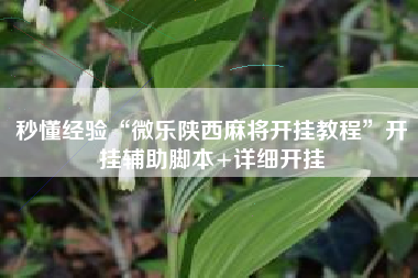 秒懂经验“微乐陕西麻将开挂教程”开挂辅助脚本+详细开挂
