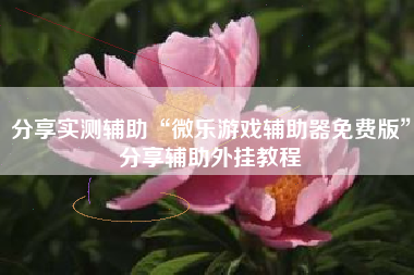分享实测辅助“微乐游戏辅助器免费版”分享辅助外挂教程