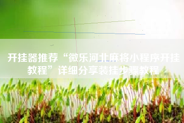 开挂器推荐“微乐河北麻将小程序开挂教程”详细分享装挂步骤教程