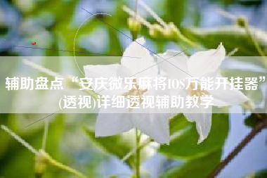 辅助盘点“安庆微乐麻将IOS万能开挂器	”(透视)详细透视辅助教学