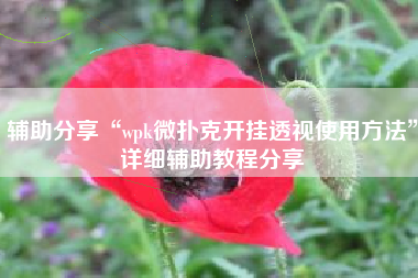 辅助分享“wpk微扑克开挂透视使用方法	”详细辅助教程分享