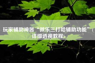 玩家辅助神器“微乐三打哈辅助功能	”(详细透视教程)