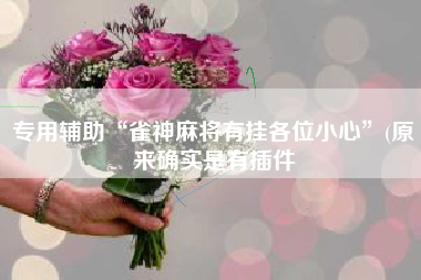 专用辅助“雀神麻将有挂各位小心”(原来确实是有插件