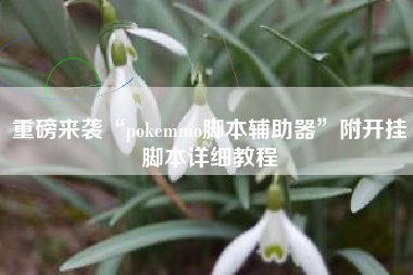 重磅来袭“pokemmo脚本辅助器	”附开挂脚本详细教程