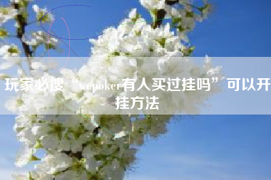 玩家必搜“wepoker有人买过挂吗”可以开挂方法
