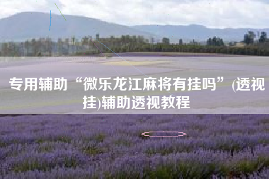 专用辅助“微乐龙江麻将有挂吗	”(透视挂)辅助透视教程