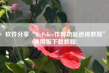 软件分享“WePoKer作弊功能透视教程”通用版下载教程!
