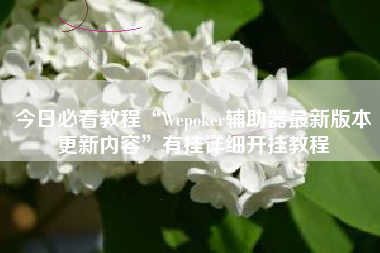 今日必看教程“Wepoker辅助器最新版本更新内容”有挂详细开挂教程