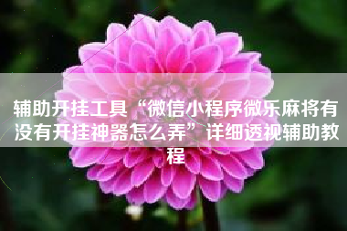 辅助开挂工具“微信小程序微乐麻将有没有开挂神器怎么弄”详细透视辅助教程