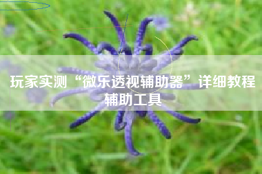 玩家实测“微乐透视辅助器	”详细教程辅助工具