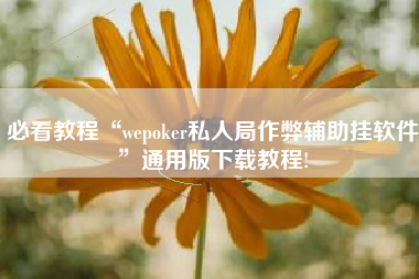 必看教程“wepoker私人局作弊辅助挂软件”通用版下载教程!