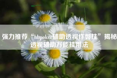 强力推荐“hhpoker辅助透视作弊挂”揭秘透视辅助万能挂用法