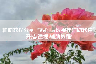 辅助教程分享“WePoker透视挂辅助软件	”开挂(透视)辅助教程!
