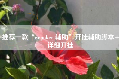 推荐一款“wepoker 辅助”开挂辅助脚本+详细开挂