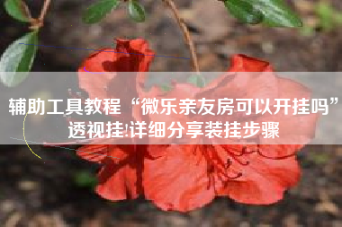 辅助工具教程“微乐亲友房可以开挂吗”透视挂!详细分享装挂步骤