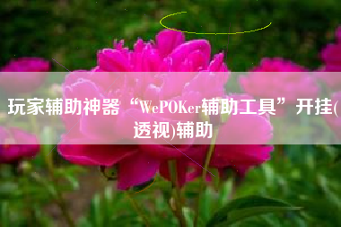玩家辅助神器“WePOKer辅助工具”开挂(透视)辅助