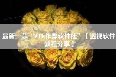 最新一款“WPK作弊软件挂	”【透视软件教程分享】